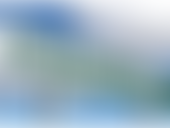 Fiscal Responsibilty