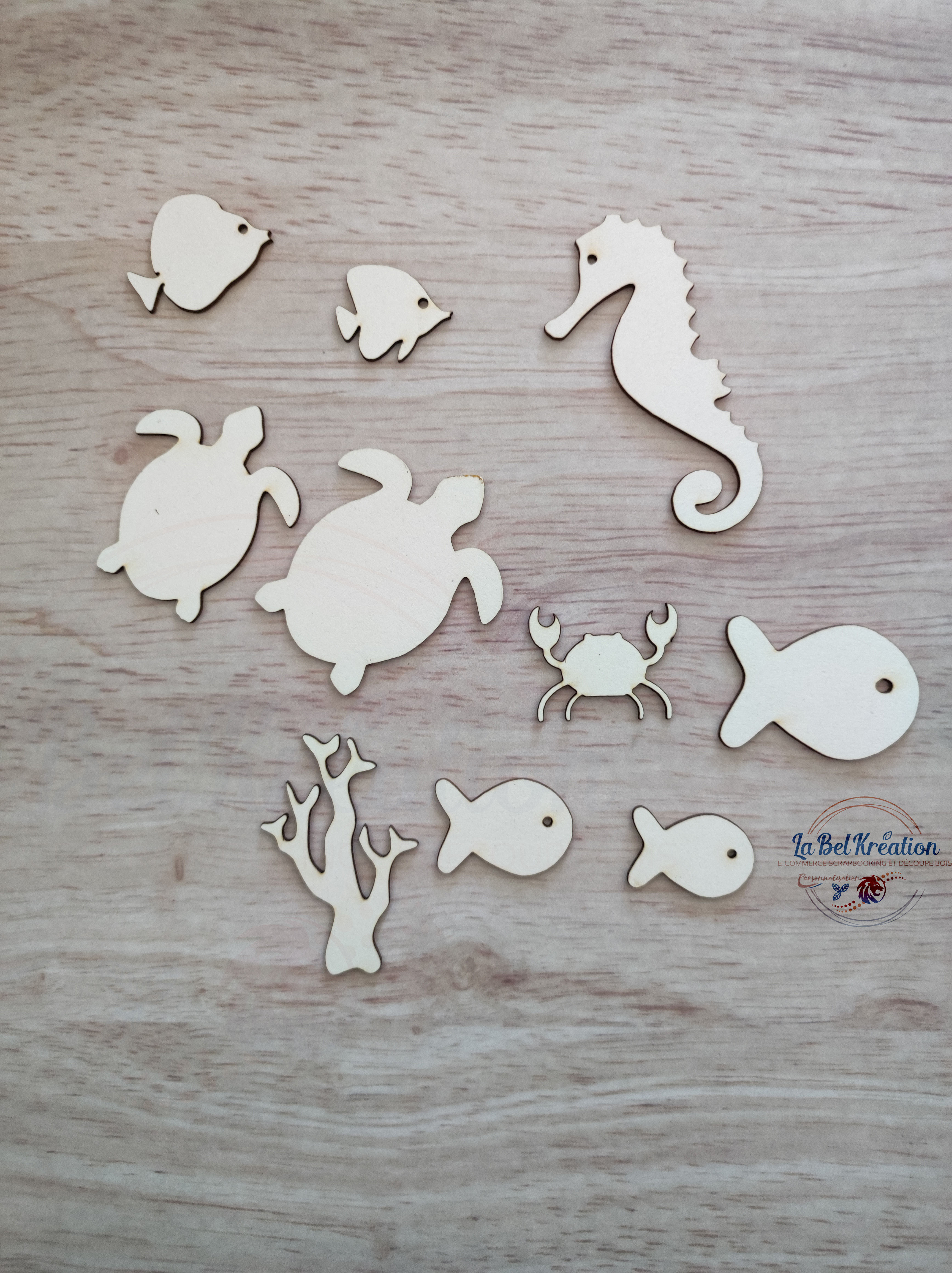 Découpe "Lot marin"