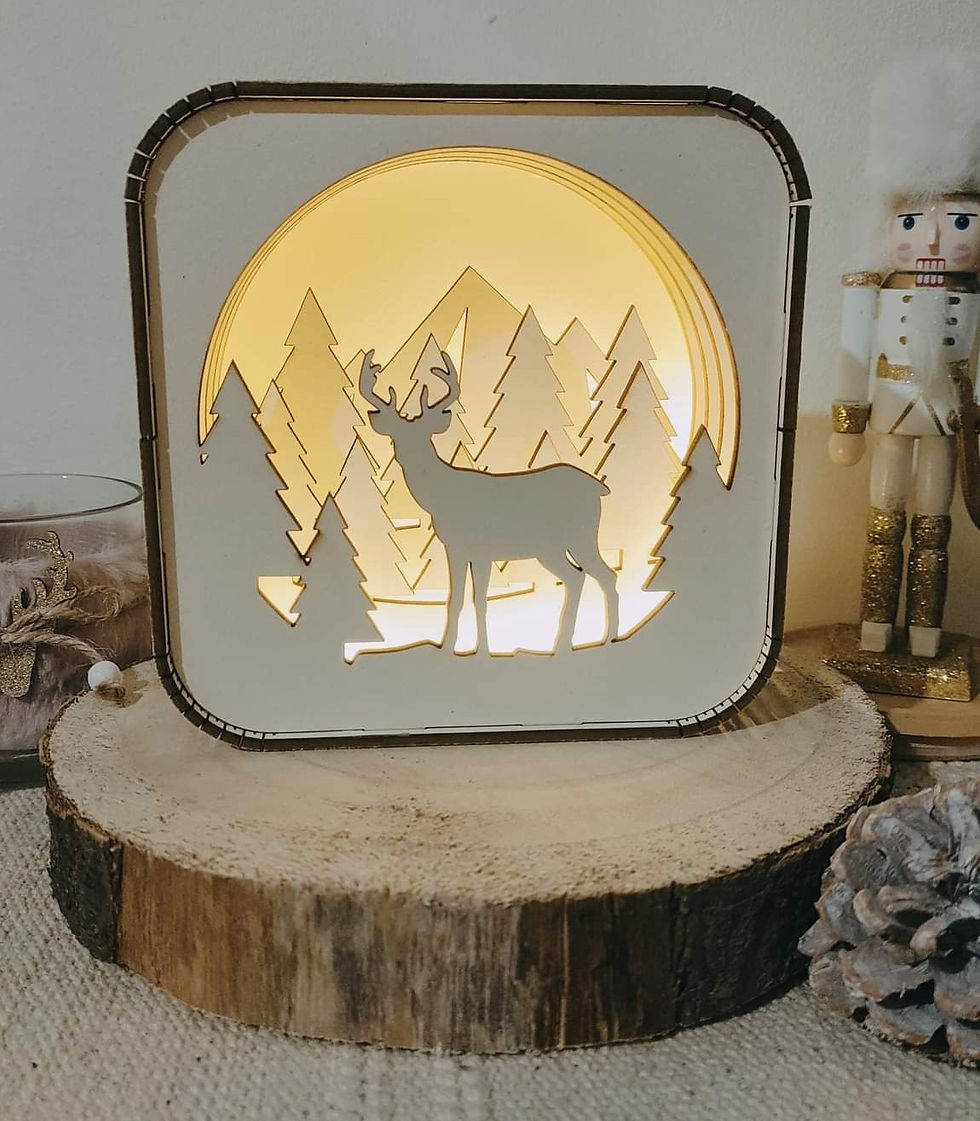 縮圖：Light box 15cm (plusieurs thèmes) possibilité de personnalisation