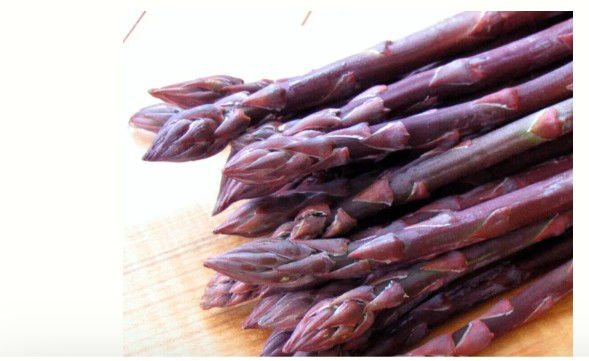10 Seeds Asparagus - Pacific Purple Vegetable