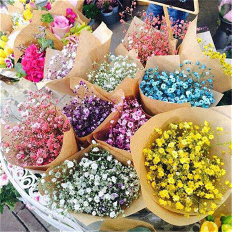 sunflower Plants flower Full Sky Star Bride Holding Flower Birthday gift balcony