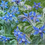 Thumbnail: Borage Seeds