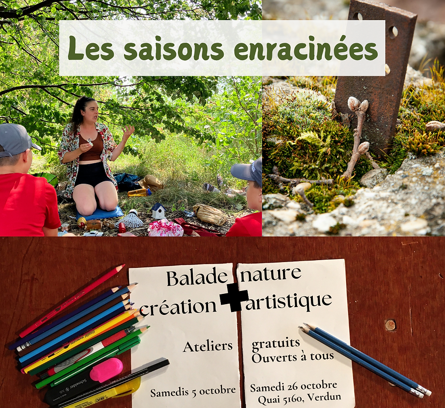 Saisons promo octobre 2024 relance.png