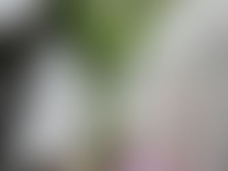 💝🐤 Πασχαλινά δώρα με super προσφορές!