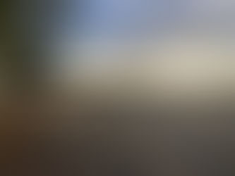 An open field with brown grass, a large pine tree on the left hand side and the sun starting to set on the right.