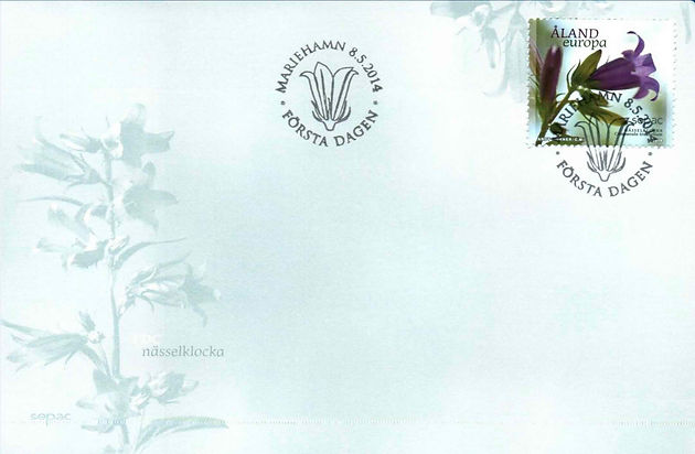 Flowers (SEPAC), Nettle leaved bellfolwer, Campanila trachelium