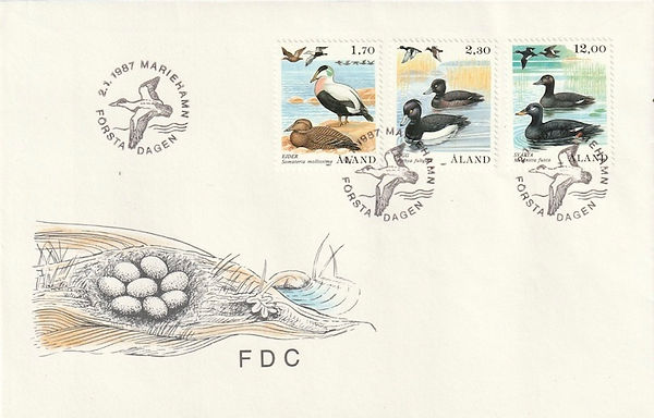 Definitives: Eider duck, Tufted duck, Velvet scoter