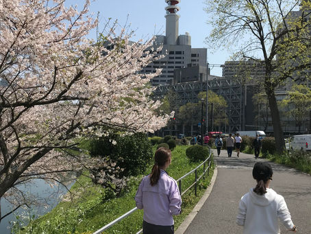 4/6 開催報告