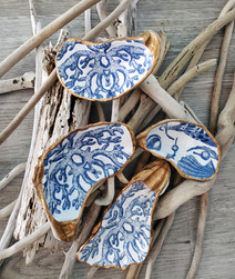 shells_nautical.jpeg
