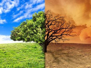 Georgia Climate Change Storm Resilience 2026: Prep Your Home 🏠🌪️