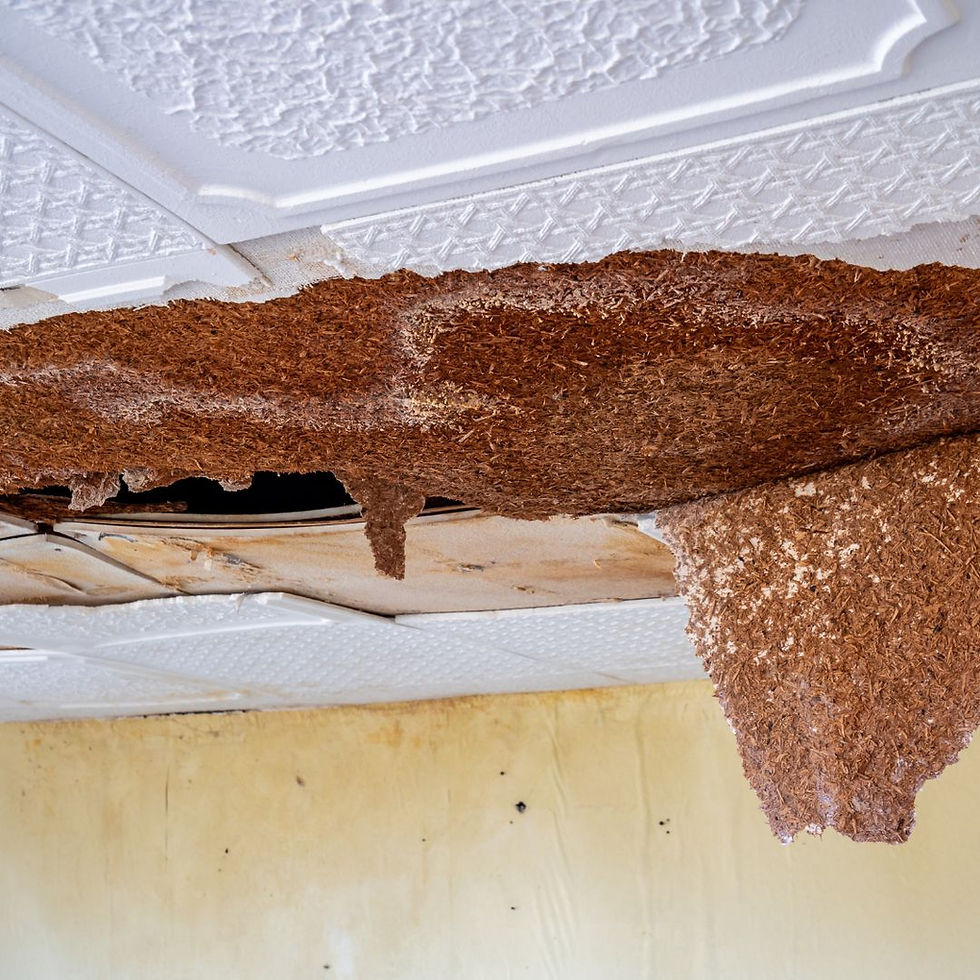 Damaged ceiling with brown, crumbling material exposing an interior gap. White patterned tiles surround the large, irregular hole.