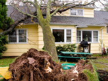Fallen Tree Damage in Georgia: How to Handle It and Why Clean Way Restoration is Your Best Choice