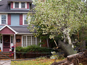 10 Genius Ways to Prevent Home Damage Before Selling 🏡🔧