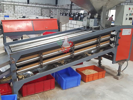 Cashew Kernel Grading Machines - Muskaan Group