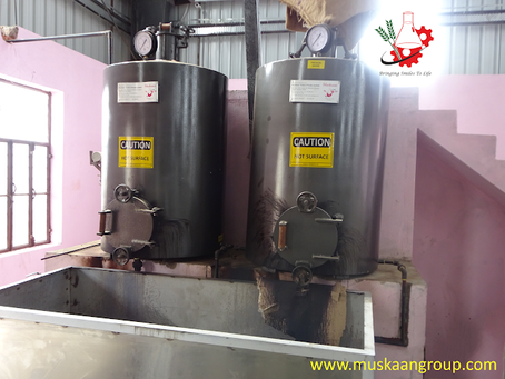Raw Cashew Processing Plant and Machinery- Muskaan Group