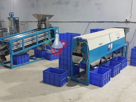 Cashew Processing plant and Machinery - Muskaan Group