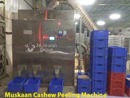Cashew Peeling Machine – Muskaan Group