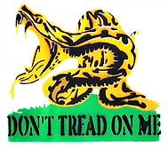 Picture20.png