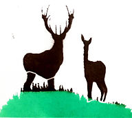 20220421_142606_edited.jpg