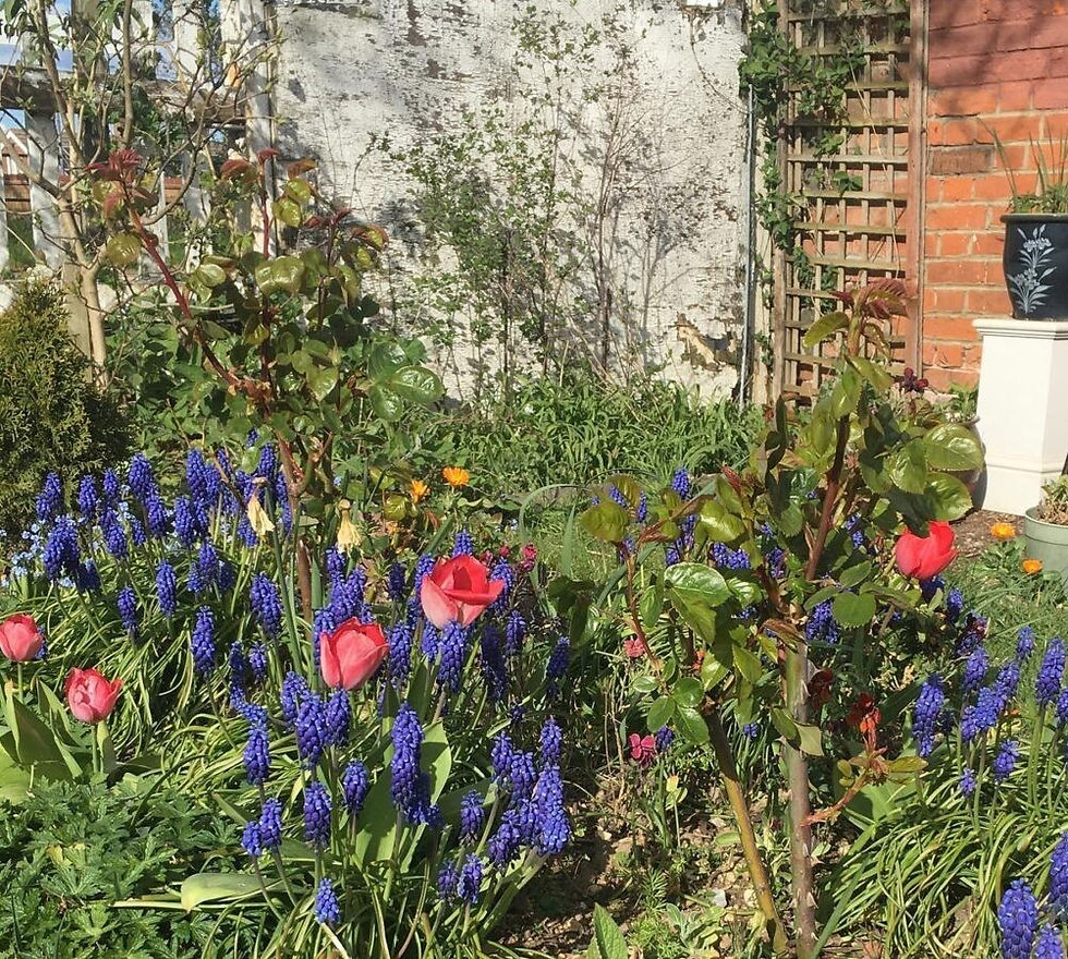 AGM - Annual General Meeting