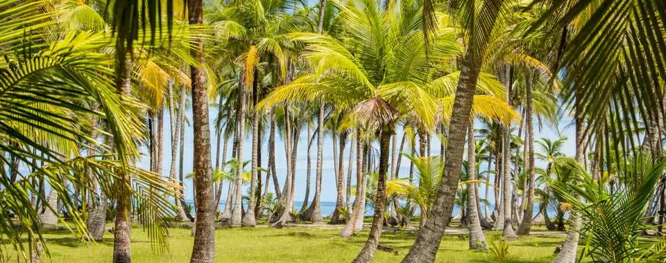 las mejores islas de San Blas