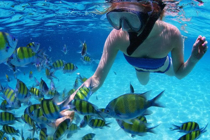 Meereslebewesen in San Blas