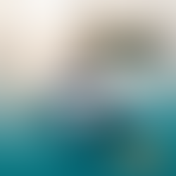 Por Qué Toda la Flota No Es Igual