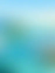 Best boat to San Blas based on your trip