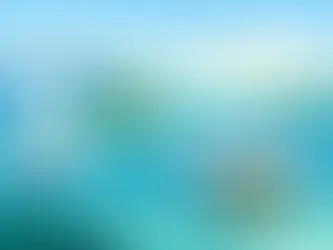 Mejor barco para San Blas según tu viaje