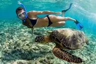 do activities such as snorkeling on our boats
