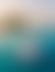 Your Private Sailing Trip to Cayos Holandeses and Coco Bandero