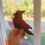 Thumbnail: Cardinal, Stain Glass