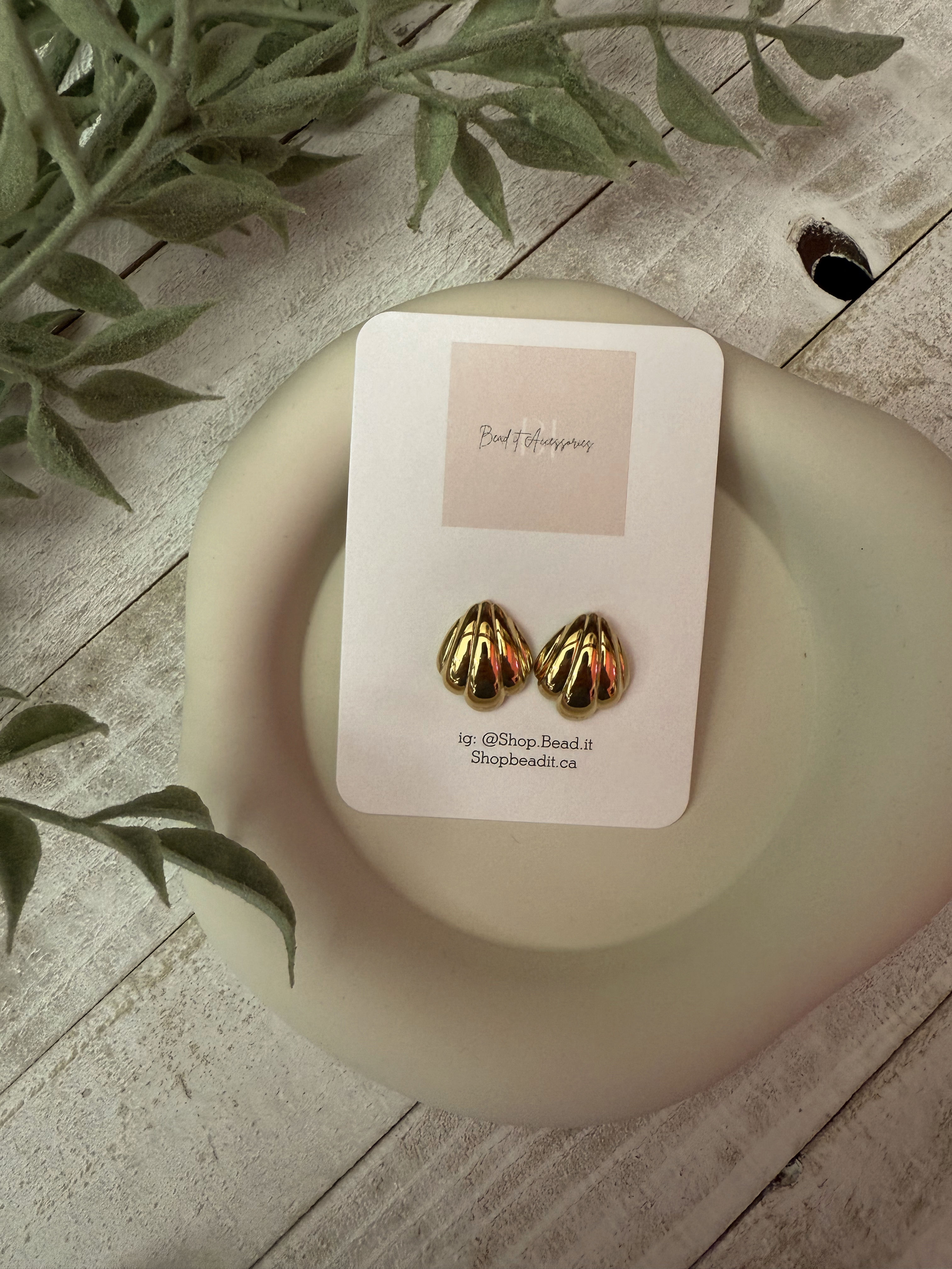 Shell Shape, Earrings