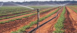 Drip Irrigation 2