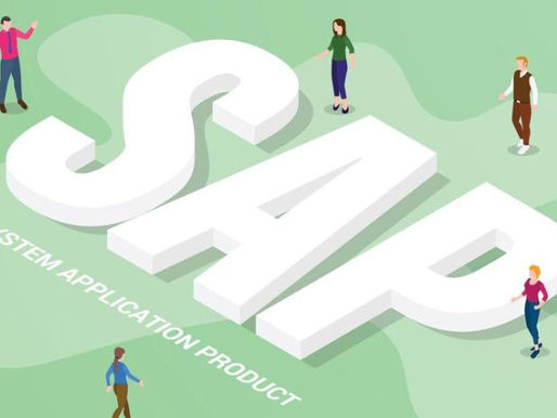 Alex's Wild Journey Into SAP: SAP Beginners Guide to ERP software