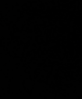Blank Screen.png