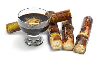 WhatsApp Image 2022-09-21 at 4.25.34 PM.jpeg