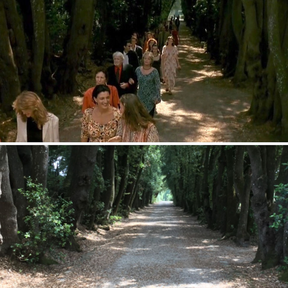 Viale alberato, Villa di Geggiano, Castelnuovo Berardenga (Siena)