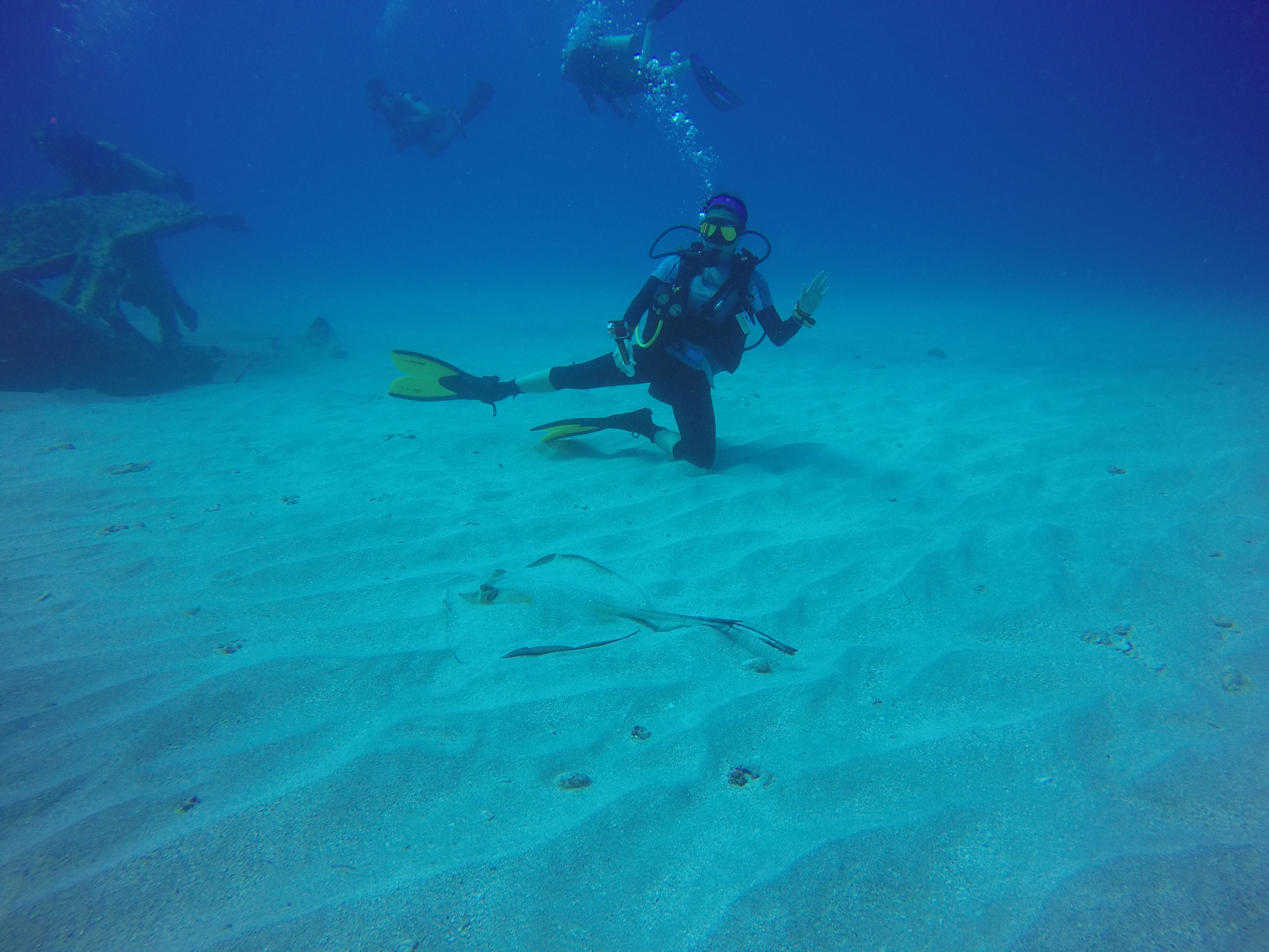 CERTIFIED SCUBA DIVE