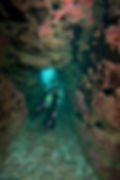 Thumbnail: 6 DIVE PACKAGE