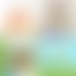 제 17기 씨티-경희 인턴십을 마치며