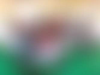 5년 만에 다시 찾은 인도, 로티아나 마을학교에 희망의 불씨 되살려!