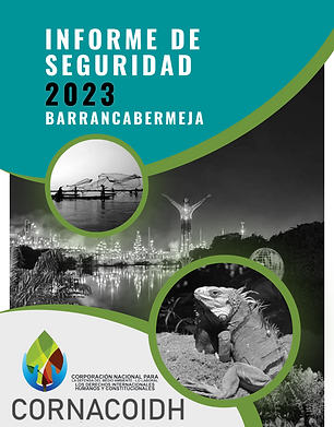 portada infortme.png