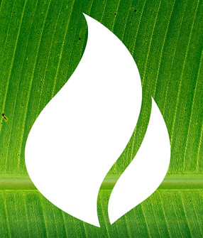 logo_sinfondo_blanco_edited.jpg