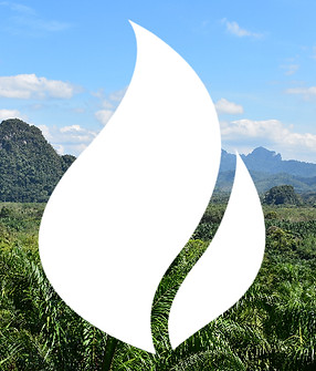 logo_sinfondo_blanco_edited.jpg