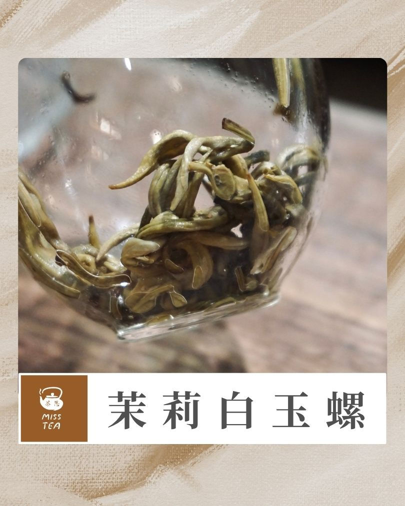 縮圖：茉莉白玉螺