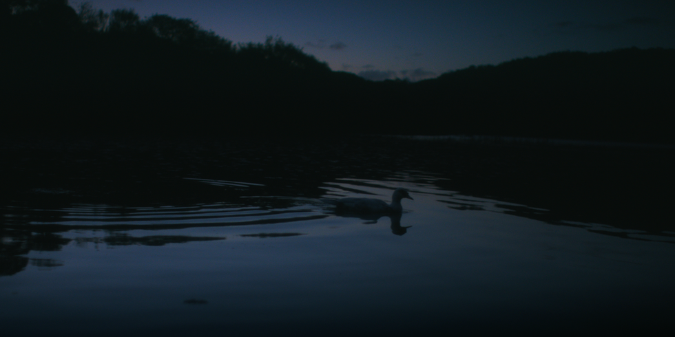 DRIFTWOOD DUSTMITES 06.png