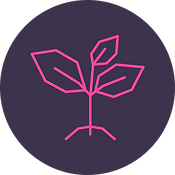 icon 1+bg@3x.png