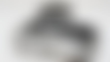 PONTIAC Baby Lynx Morocco