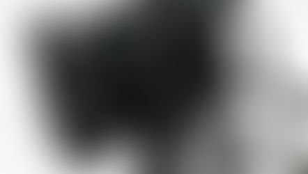 FUJICA DL100 the "Italian touch"